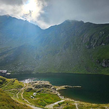 Casa Oaspeti Transfagarasan Apartamento Cîrţişoara Exterior foto