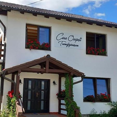 Casa Oaspeti Transfagarasan Cartisoara Exterior foto