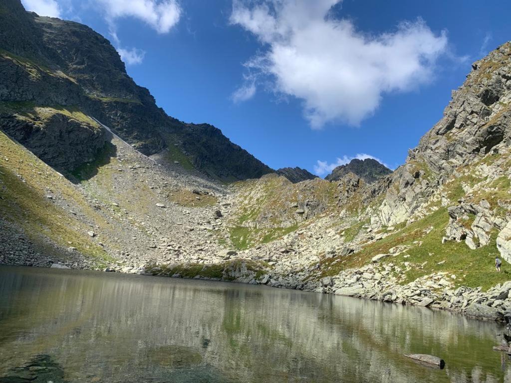 Casa Oaspeti Transfagarasan Apartamento Cîrţişoara Exterior foto