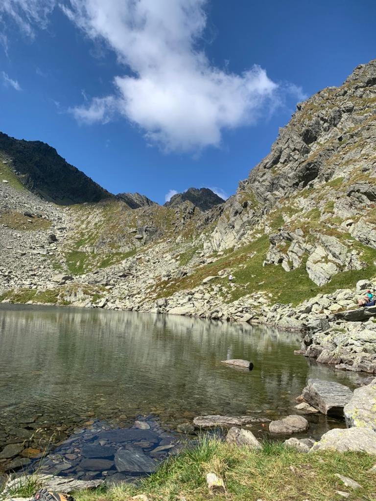 Casa Oaspeti Transfagarasan Apartamento Cîrţişoara Exterior foto