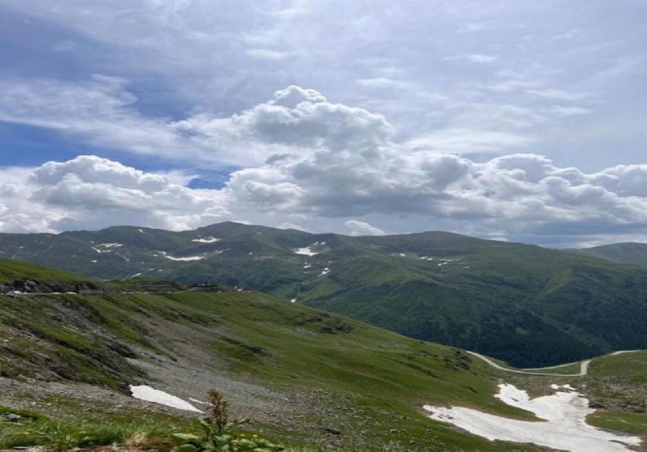 Casa Oaspeti Transfagarasan Apartamento Cîrţişoara Exterior foto